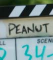 Peanut Butter BTS
